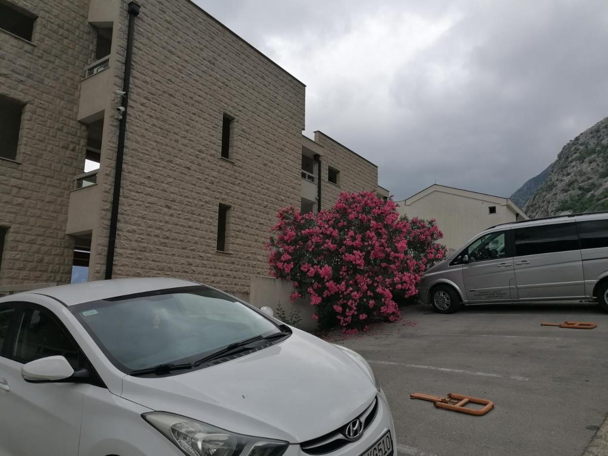 Villa Milla Κότορ Εξωτερικό φωτογραφία
