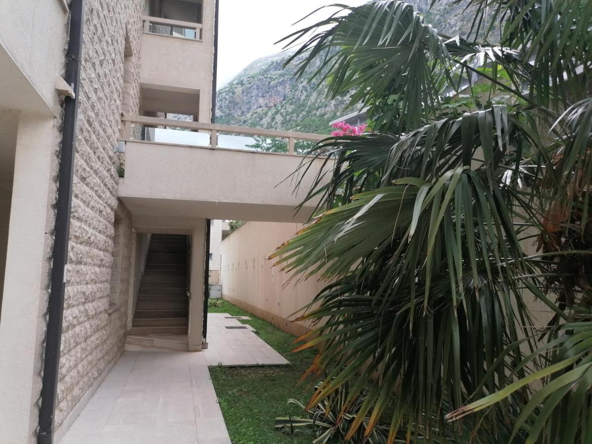 Villa Milla Κότορ Εξωτερικό φωτογραφία