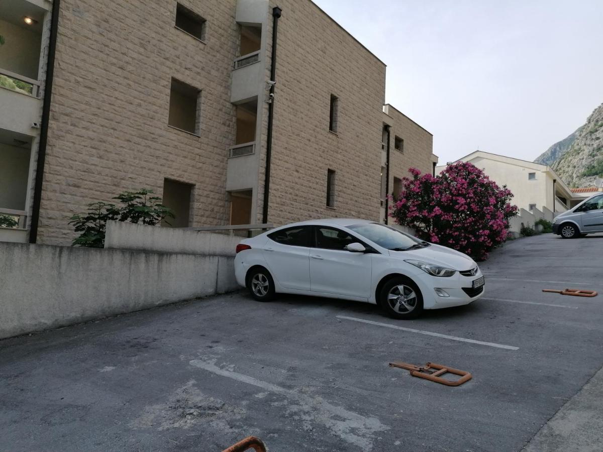 Villa Milla Κότορ Εξωτερικό φωτογραφία